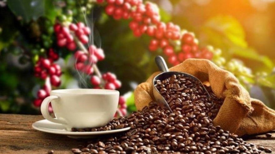 Giá cà phê hôm nay 27/8: Giá cà phê trong nước cao nhất 122.000 đồng/kg đồng/kg
